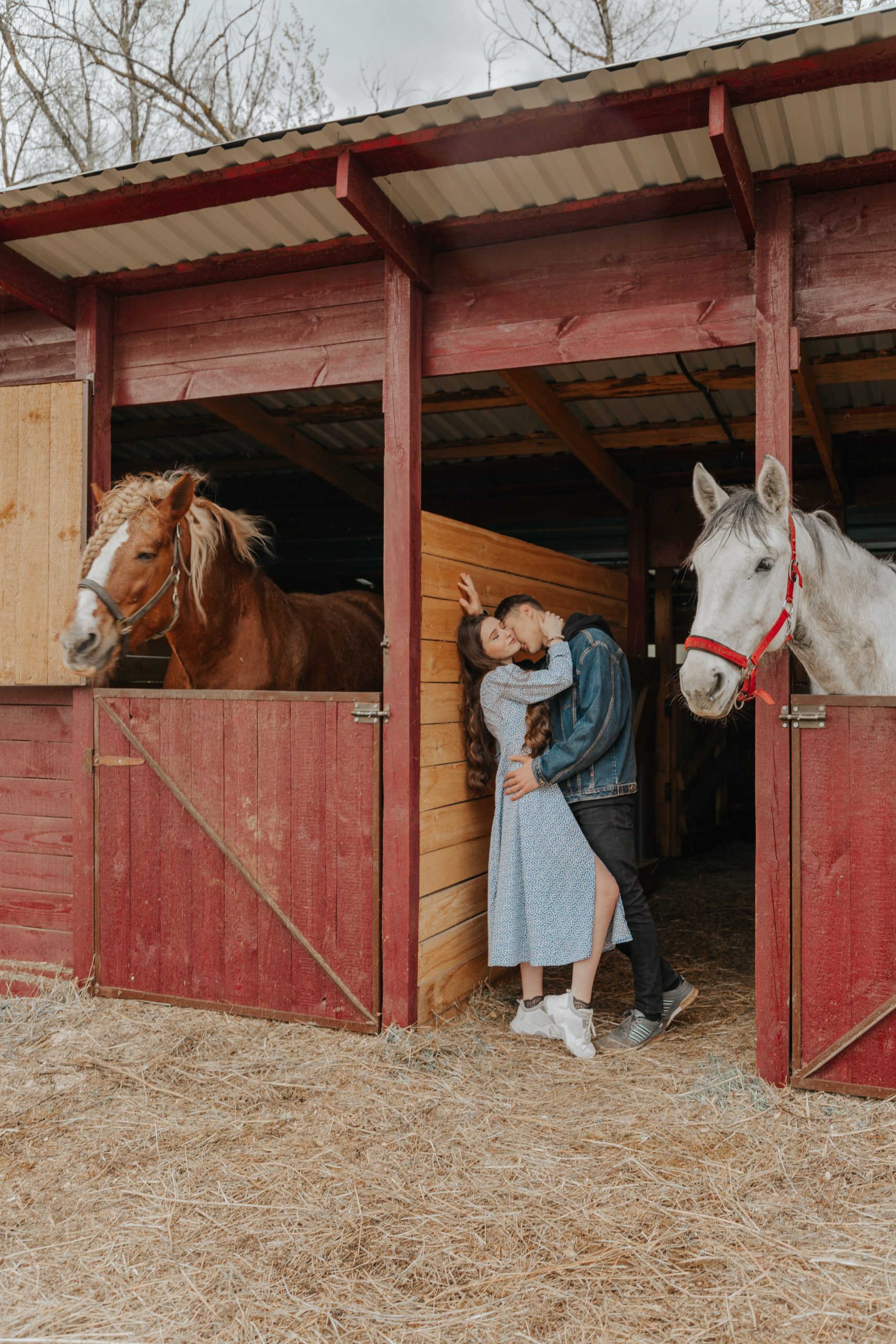 Quel animal symbolise la passion ?