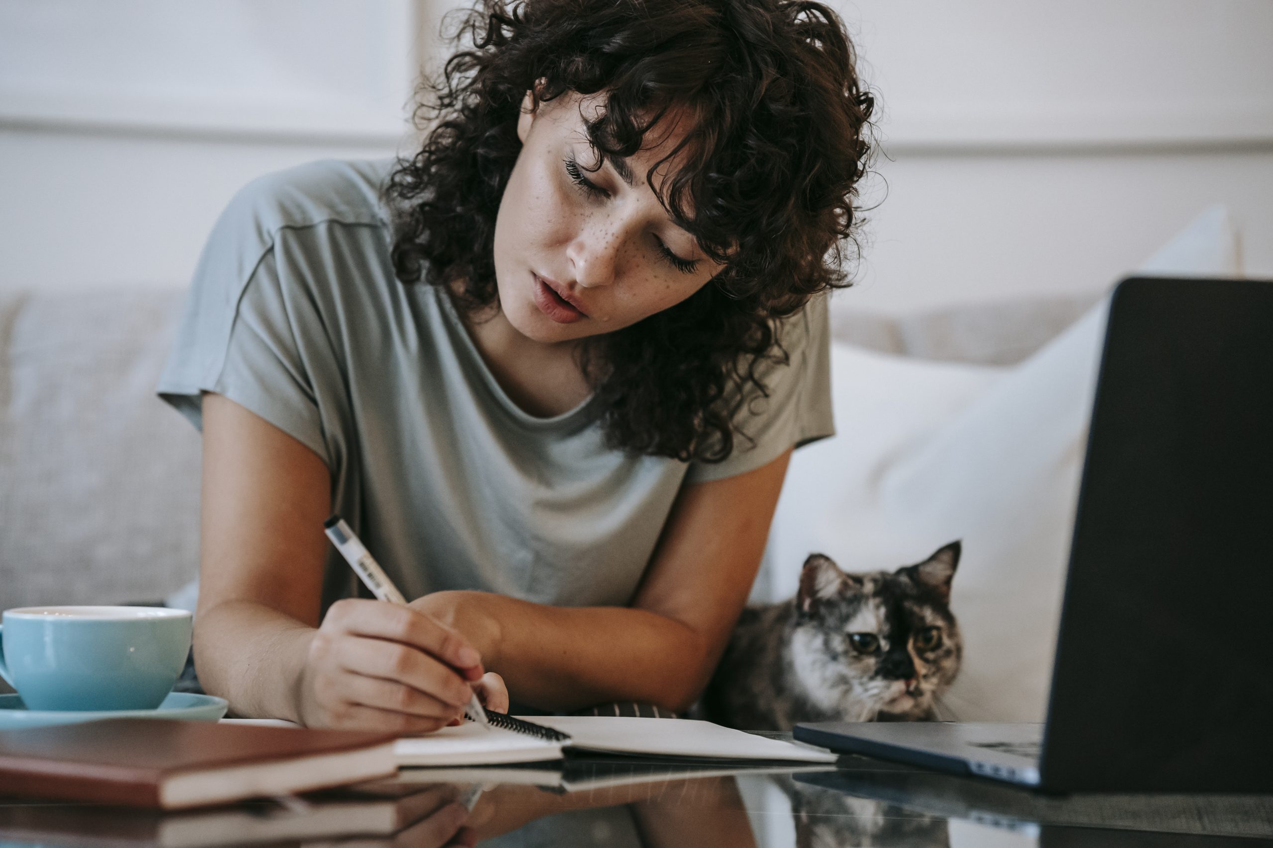 Quel est le chat le plus intelligent du monde ?